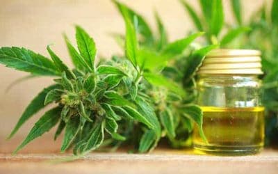 How To Sell CBD Oil Online [Infographic!]