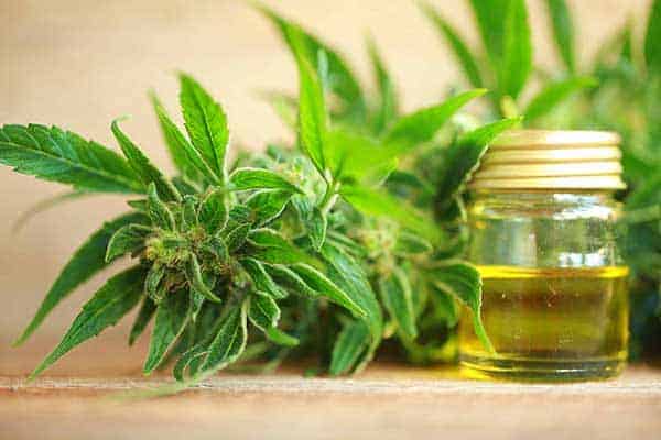 How To (Successfully) Market And Sell CBD Oil Online [NEW]