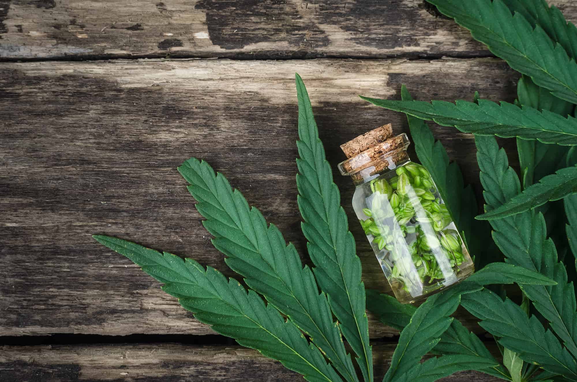 CBD-business-website-cannabis-leaves