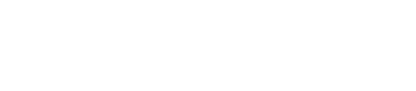 Placed order, New customer thank you and Review request Flows Customer Journey