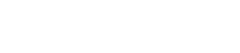 Predict next order, Upsell & Cross-sell and VIP:loyalty and Review request Flows Customer Journey