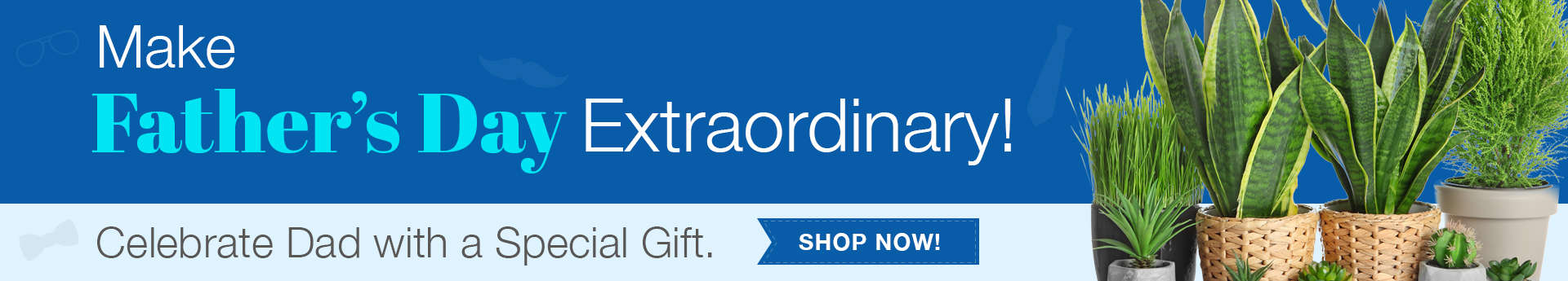Father’s Day banner with potted houseplants and a “Shop Now” button; text reads “Make Father’s Day Extraordinary!”