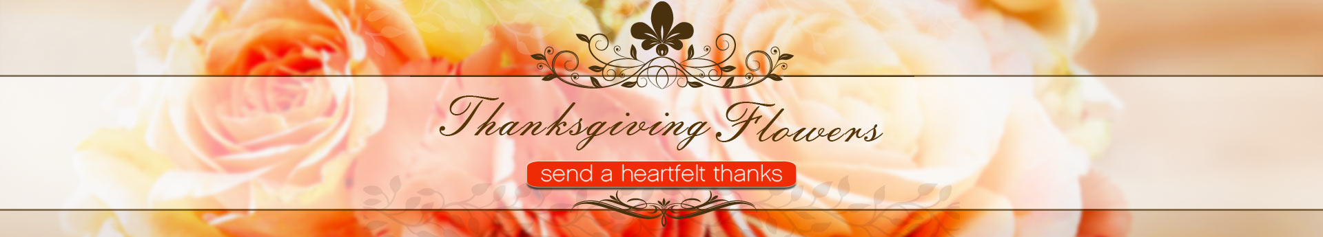 Thanksgiving banner with soft peach roses and ornate script reading Thanksgiving Flowers and an orange button labeled send a heartfelt thanks.