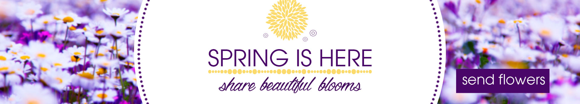 Spring banner with purple daisy field; text “SPRING IS HERE—share beautiful blooms” and a “send flowers” button.