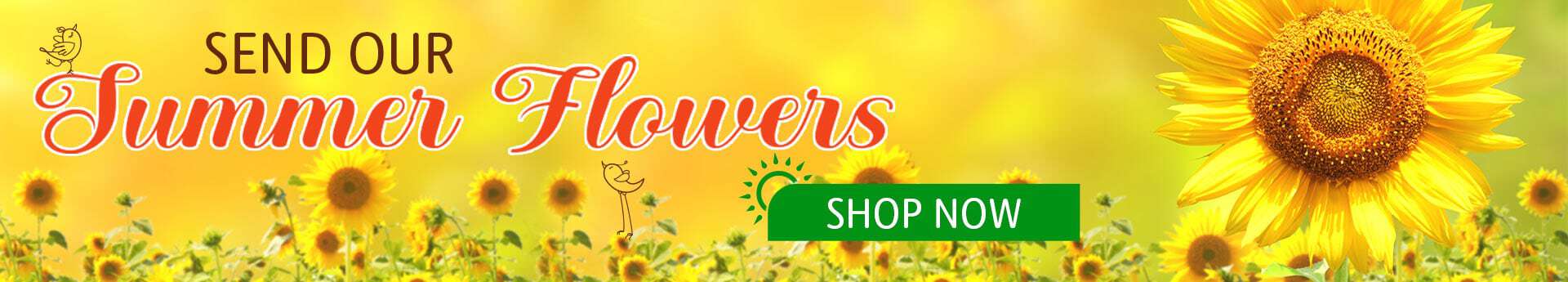 Summer banner with Sunny sunflower field graphic with text “Send Our Summer Flowers” and a green “Shop Now” button.