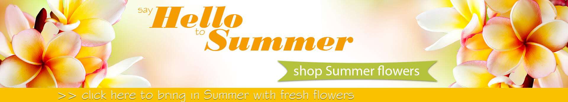 Say Hello to Summer banner with white-yellow plumeria on right and a green “shop Summer flowers” button.