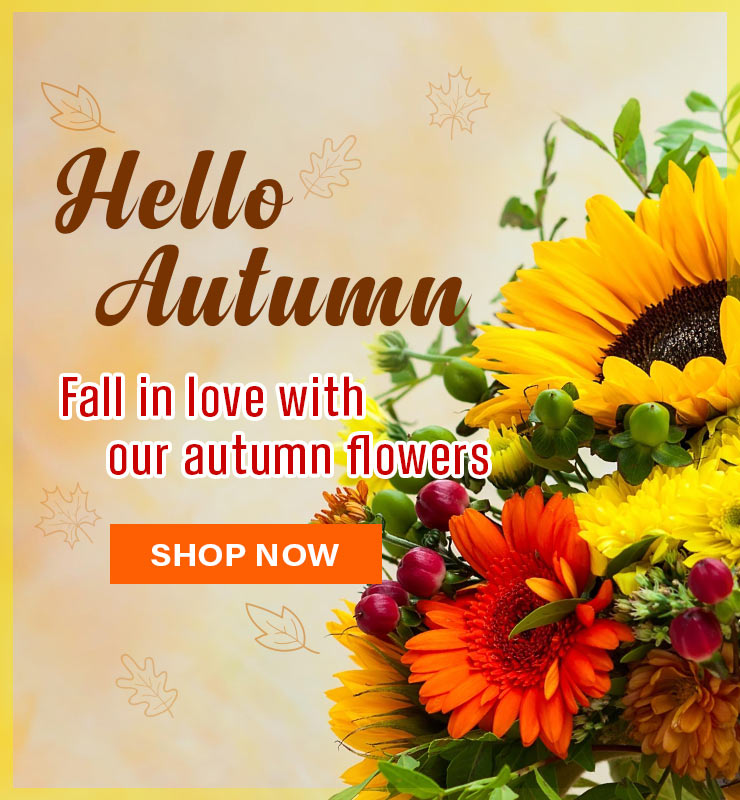 Hello Autumn banner with orange SHOP NOW button and vivid yellow-orange fall bouquet with greenery and red berries.