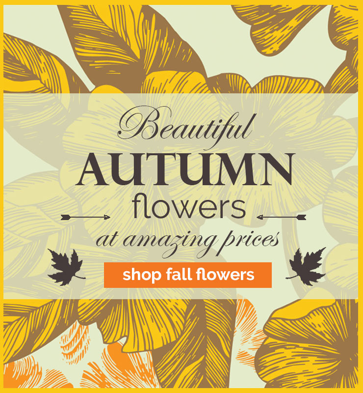 Autumn banner with illustrated yellow flowers and text Beautiful Autumn flowers at amazing prices, button labeled shop fall flowers.