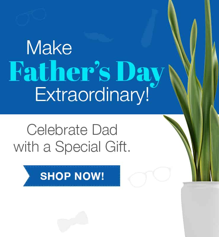 Father’s Day banner with potted houseplants and a “Shop Now” button; text reads “Make Father’s Day Extraordinary!”