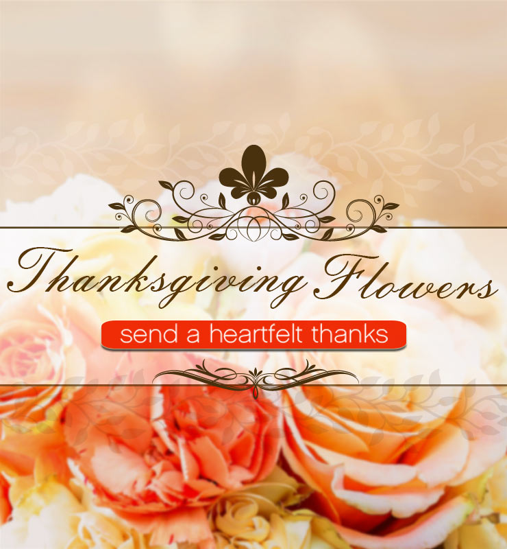 Thanksgiving banner with soft peach roses and ornate script reading Thanksgiving Flowers and an orange button labeled send a heartfelt thanks.