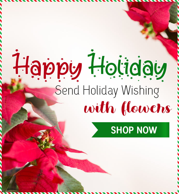 Festive poinsettia holiday ad with text “Happy Holiday, send holiday wishing with flowers” and green SHOP NOW button.