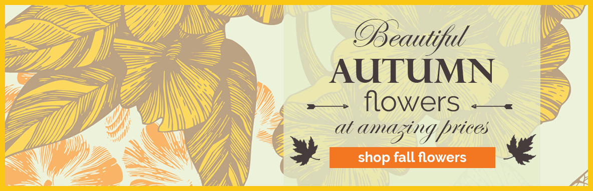 Autumn banner with illustrated yellow flowers and text Beautiful Autumn flowers at amazing prices, button labeled shop fall flowers.