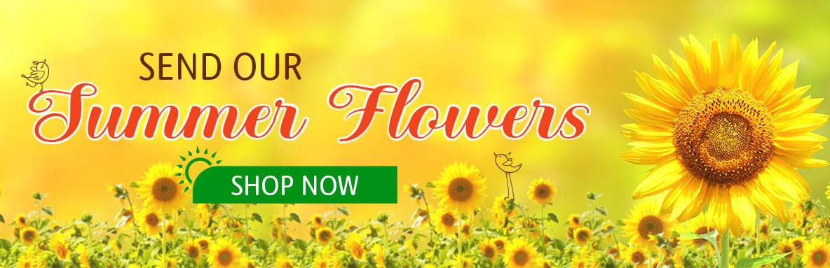 Summer banner with Sunny sunflower field graphic with text “Send Our Summer Flowers” and a green “Shop Now” button.