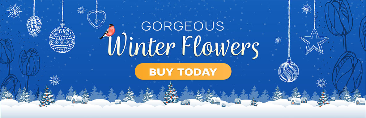Blue winter banner with hanging ornaments, snow and trees; text “Gorgeous Winter Flowers” and a yellow “Buy Today” button.