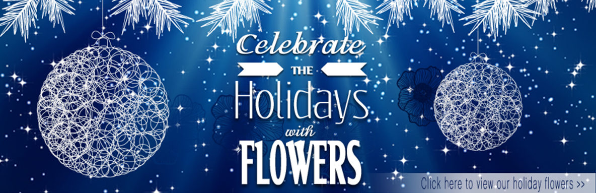 Blue holiday banner with pine boughs and white ornaments; text reads “Celebrate the Holidays with Flowers.”