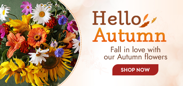 Hello Autumn banner featuring a bright fall bouquet of sunflowers, daisies and zinnias with a Shop Now button.