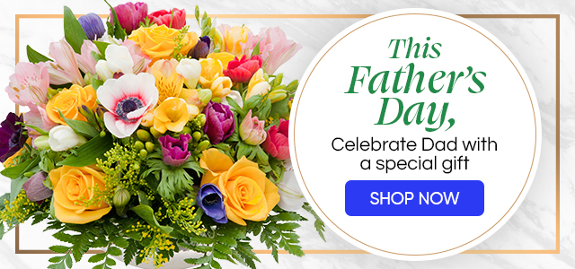 Father’s Day banner with colorful mixed flower bouquet on marble background and blue “Shop Now” button.