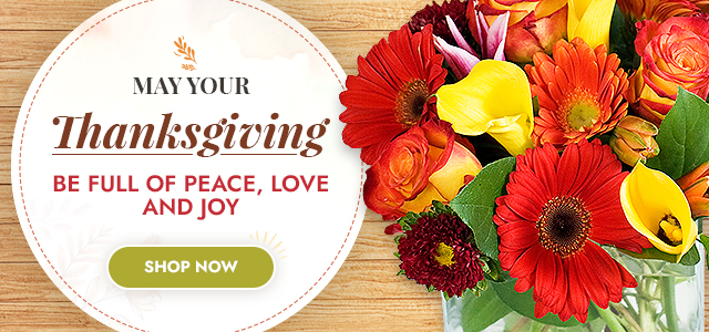 Thanksgiving banner with red and yellow bouquet beside message of peace, love and joy and a green “Shop Now” button.