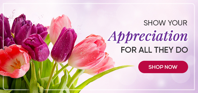 Administrative Professionals Day banner with pink and purple tulips; text reads “Show your appreciation for all they do” with “Shop Now” button.