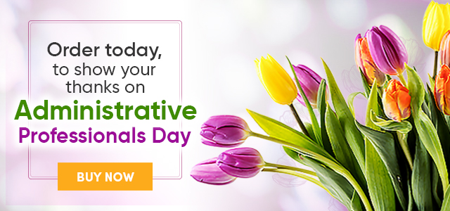 Administrative Professionals Day banner with purple and yellow tulips and a yellow “Buy Now” button.