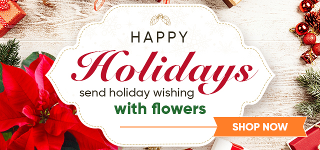Happy Holidays banner with poinsettias, wrapped gifts on wood background, and orange Shop Now button for sending flowers.