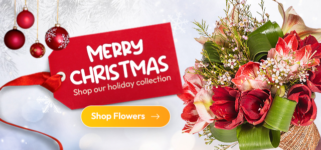 Festive Merry Christmas banner with red gift tag, Shop Flowers button, and red and white holiday bouquet on snowy background.