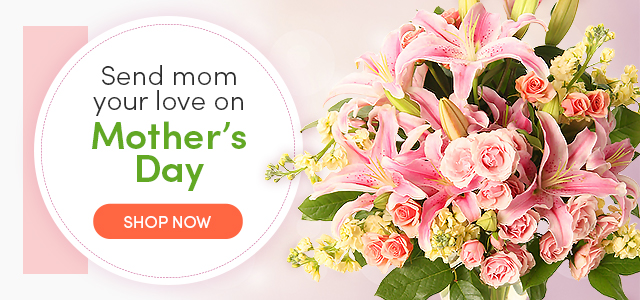 Mother’s Day promo with pink lilies and roses; headline “Send mom your love” and an orange “Shop Now” button.