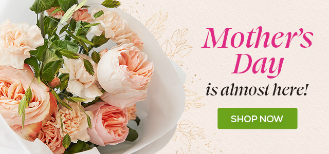 Mother’s Day banner with a bouquet of peach garden roses; text: “Mother’s Day is almost here!” and “Shop Now.”