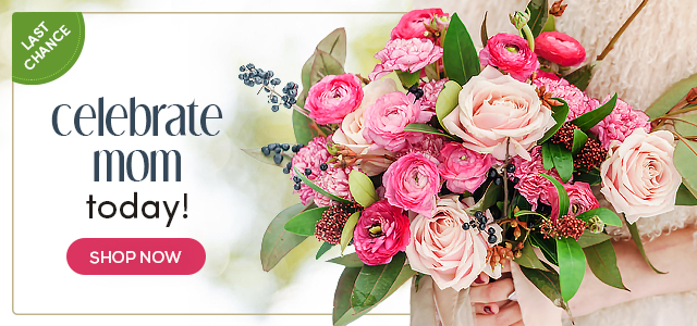 Mother’s Day banner with a hand holding a pink rose and ranunculus bouquet; text reads “Celebrate Mom today!” and “Shop Now.”