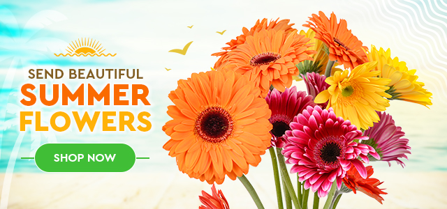 Banner with bright gerbera daisies on a beach backdrop; text “Send Beautiful Summer Flowers” and a green “Shop Now” button.