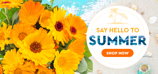 Summer banner with bright yellow daisies on a beach backdrop; text “Say Hello to Summer” and orange “Shop Now” button.