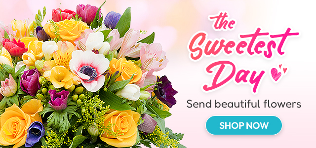 Bright Sweetest Day banner with mixed bouquet and text “Send beautiful flowers” above a teal “Shop Now” button.