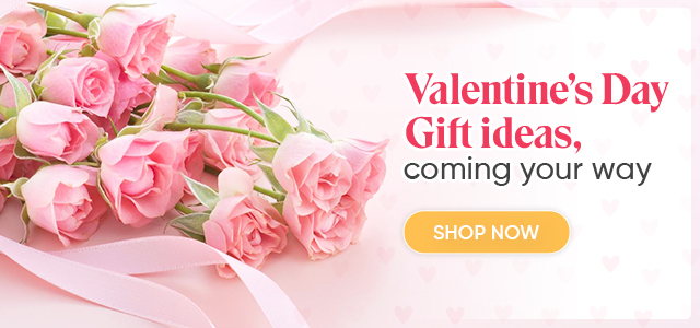 Valentine’s promo banner with a bouquet of pink roses and a “Shop Now” call-to-action on a pale heart background.