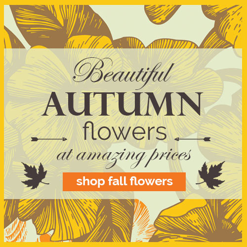 Autumn banner with illustrated yellow flowers and text Beautiful Autumn flowers at amazing prices, button labeled shop fall flowers.