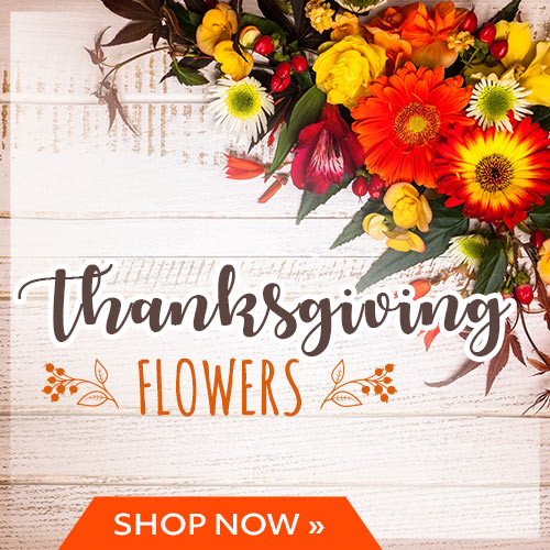 Thanksgiving flowers banner with bright orange and yellow bouquet on rustic wood and an orange Shop Now button.