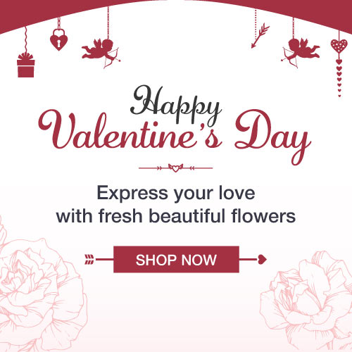 Happy Valentine’s Day banner with cupids, hearts, and arrows; text: Express your love with flowers, Shop Now button.