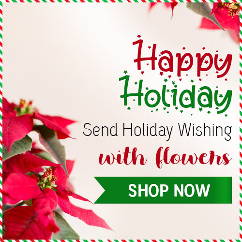 Festive poinsettia holiday ad with text “Happy Holiday, send holiday wishing with flowers” and green SHOP NOW button.
