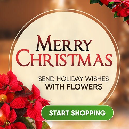 Merry Christmas banner with red poinsettias framing text “Send holiday wishes with flowers” and a green “Start Shopping” button.