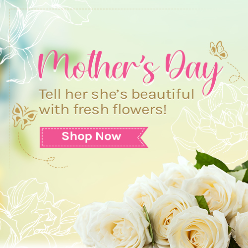 Mother’s Day banner with white roses; message: Tell her she’s beautiful with fresh flowers. Shop Now.