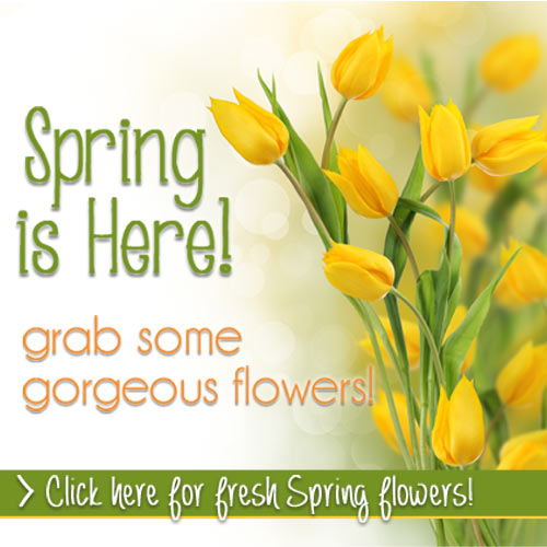 Spring is Here banner with yellow tulips and green ribbon; text invites you to view fresh spring flowers.