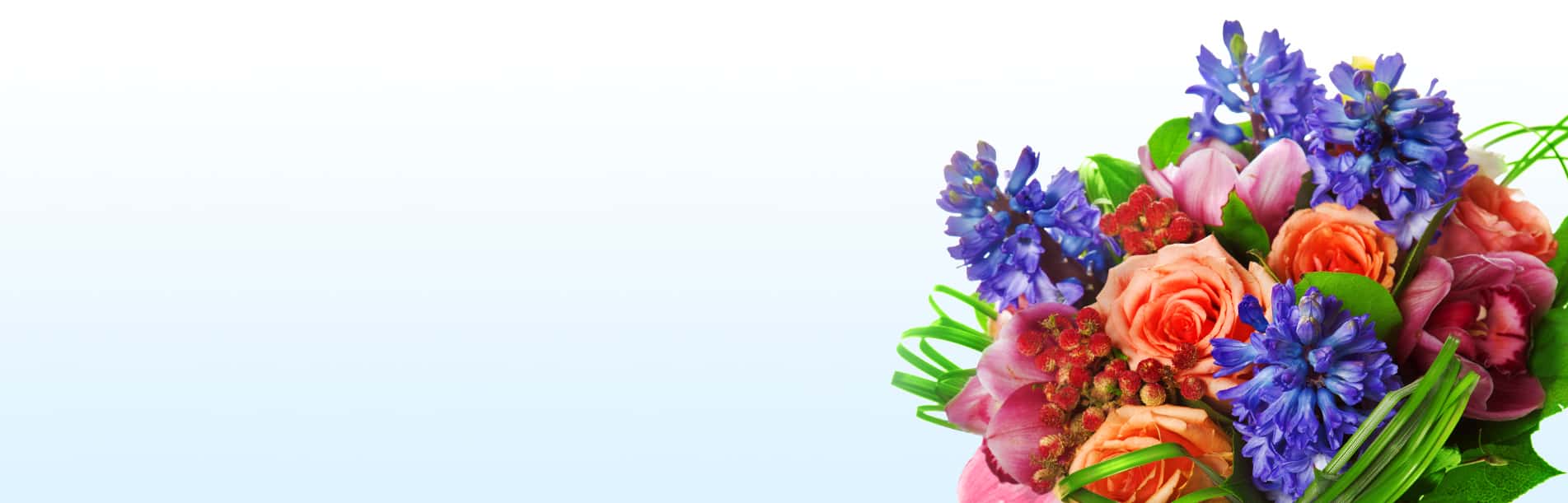 Nebula Beauty & Home banner featuring a spring flowers: blue hyacinths, pink tulips, and peach roses on a clean white background.