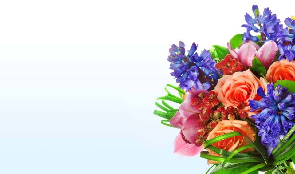 Nebula Eco banner featuring a spring flowers: blue hyacinths, pink tulips, and peach roses on a clean white background.