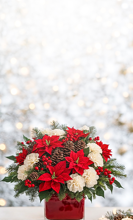 Mobile banner featuring christmas floral arrangement of poinsettias, pine, and berries in a red square vase with soft winter lights behind.