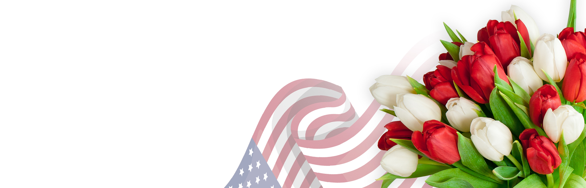 Nebula Beauty & Home banner featuring red and white tulips with a waving American flag motif along the bottom, wide white space above.
