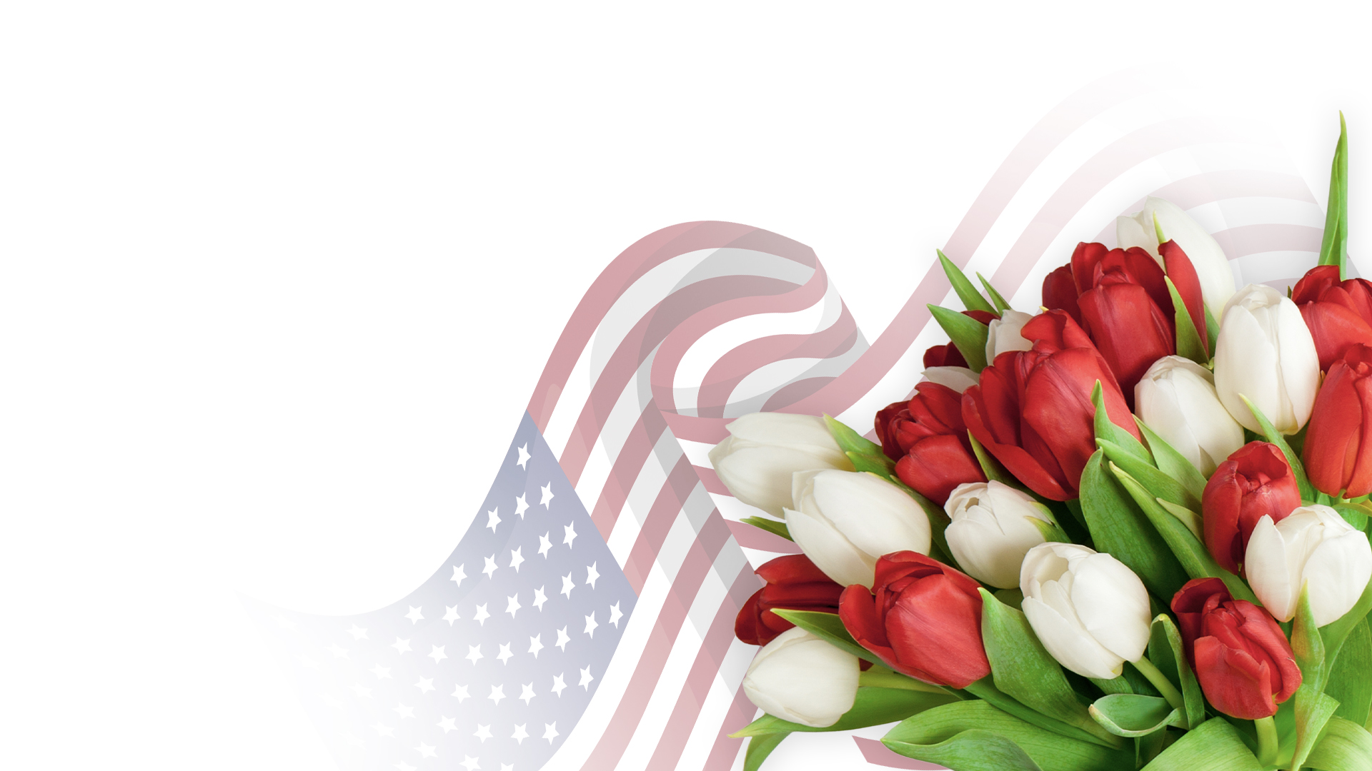 Nebula Fashion banner featuring red and white tulips with a waving American flag motif along the bottom, wide white space above.