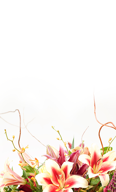 Mobile banner featuring close-up of peach and magenta lilies with yellow centers, greens, and twisting willow branches on white.