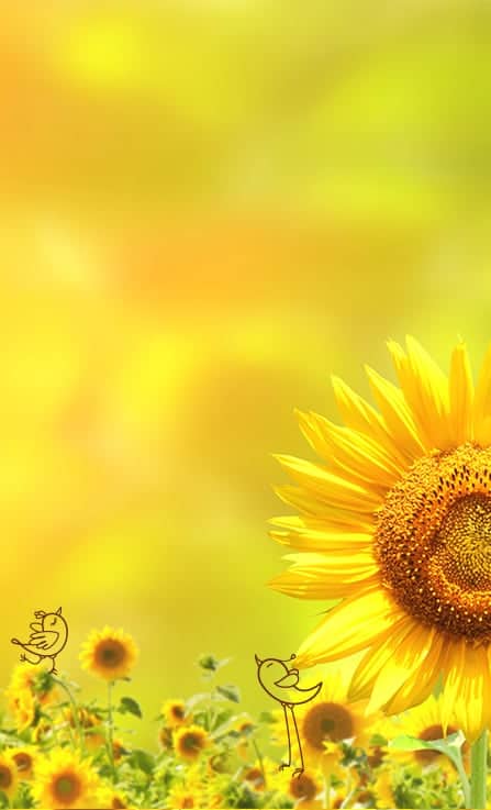 Mobile banner featuring large sunflower on right against sunny yellow background, with a field of small sunflowers and two doodle birds at the bottom.