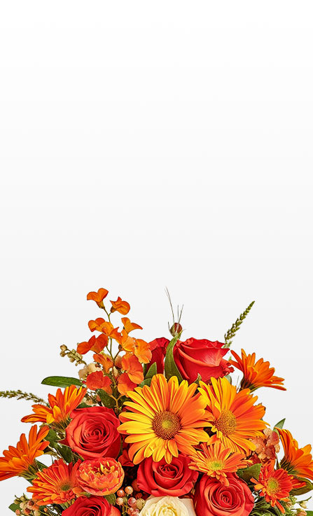 Mobile banner featuring bright orange and yellow bouquet of gerbera daisies and roses rising from the bottom against a plain white background.