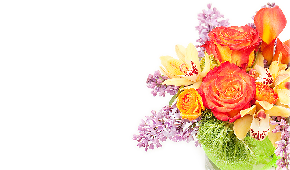 Nebula Eco banner featuring bouquet of orange roses, orange calla lilies, yellow alstroemeria, and lilac sprigs on a white background.