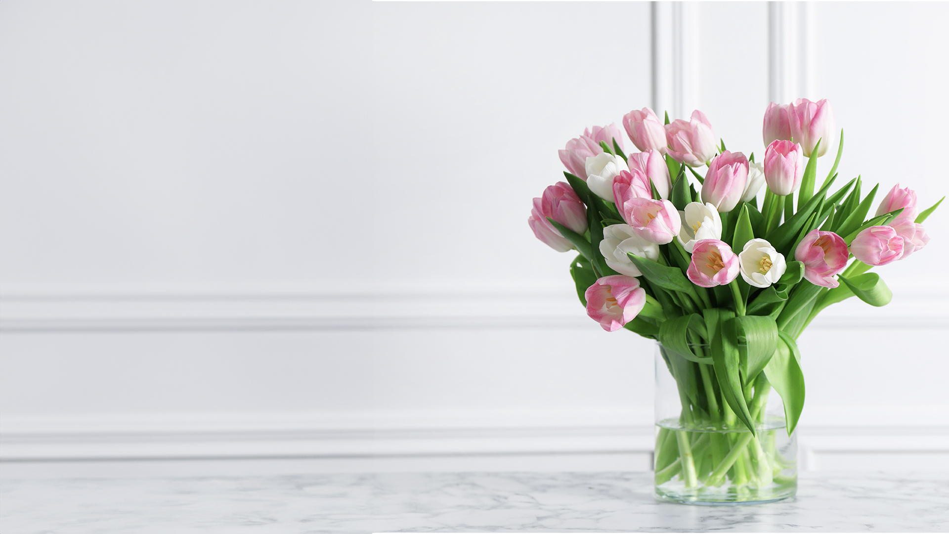 Nebula Fashion banner featuring pink and white tulips with green leaves on a clean white background.